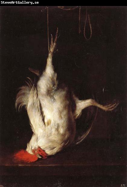 Gabriel Metsu Dead Cock